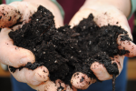 Eine Handvoll Boden (Foto: Pat Dumas/flickr.com) Soil