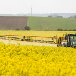 Glyphosat: Auf dem Acker, im Urin (Foto: Chafer/Flickr.com) Chafer2