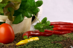 Patente quer durch den Garten (Foto: CC0) Basil