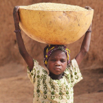 Ziel 2: eine Welt ohne Hunger (Foto: Steve Evans/flickr.com) Rice