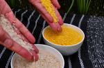 Goldener und weißer Reis (Foto: IRRI Photos) Gold