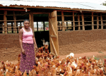 Geflügelzüchterin in Uganda (Foto: Jennifer Wilmore, bit.ly/ChiBre, bit.ly/by-nc-nd20) Chcik