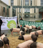 ©Fotografenname: sigrid rossmann, www.pixelio.de Hunger