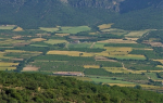 Eine heterogene Agrarlandschaft (Foto: Jordi Recasens) Field