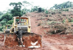 Land Grabbing in Uganda - für ein einst von der Weltbank gefördertes Palmölprojekt (Foto: FoEI/ATI - Jason Taylor) Land Grabbing in Uganda - einst von der Weltbank gefördert