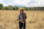 Der Klimawandel wird Bauern in Lateinamerika hart treffen (Foto: Neil Palmer/CIAT) BauerHonduras