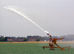 Bewässerung in der Landwirtschaft (Foto: ingo anstötz/pixelio.de) Bewässerung in der Landwirtschaft