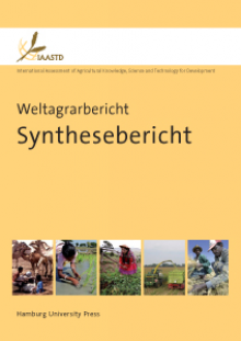 Synthesebericht Synthesebericht deutsch