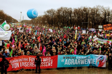Demozug in Berlin (Foto: „www.wir-haben-es-satt.de/ Die Auslöser Berlin“) Demo