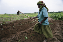 FAO: “Der Erwerb bereits ge- nutzten Landes zur Schaffung neuer Großbetriebe ist zu ver- meiden” (Foto: Africa Renewal) FAO: “Der Erwerb bereits genutzten Landes um neue, großer Betriebe zu schaffen ist zu vermeiden”