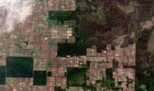 Abholzung für die Tierzucht in Paraguay (Foto: European Space Agency) Wald