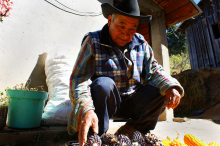 Immer mehr Bauern in Mexiko müssen aufgeben (Foto: Ecotlan/Flickr.com) Bauer