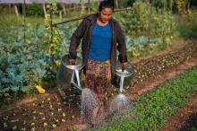 Biobäuerin in Laos (Foto: Asian Development Bank/flickr.com) Laos
