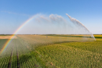 Groundwater is often used for irrigation (Photo: CC0) Irrigation