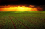 Agriculture is driving biodiversity loss (Photo: CC0) Landschaft