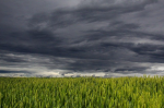 We need to avoid the next ‘perfect storm’ (Photo: CC0) Storm