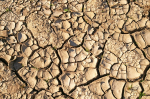 Dry soil (Photo: CC0) Trocken