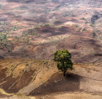 Farmland in Ethiopia (Photo: Mariusz Kluzniak/Flickr.com) Farmland