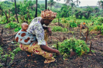 Empowering women is key to food security (Photo: CC0) Empower