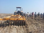 Fields and forests are converted into sugarcane plantations (Photo: Prame community) Prame