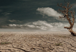 We need to tackle the climate, biodiversity & land degradation crises (Photo: CC0) Desert