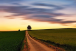 Visions for the future of food systems (Photo: CC0) Scenario