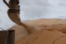 Sojaschrot - gentechnikfrei? (Foto: Roosewelt Pinheiro/Abr) Soja