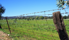 Land grabs destroy local livelihoods (Photo: taylr./flickr) land grab deprive local communities of their access to land