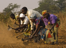 Bauern in Malawi (Foto: Twin and Twin Trading/Flickr.com) MAlawi