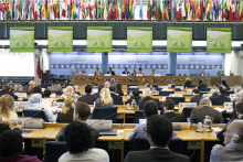 Plenary of the CFS (Photo: FAO/Giuseppe Carotenuto) FAO
