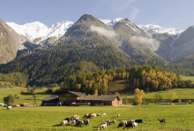 Hof in Österreich (Foto: Tom Kelly/Flickr.com) Farm