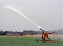 Bewässerung in der Landwirtschaft (Foto: ingo anstötz/pixelio.de) Bewässerung in der Landwirtschaft